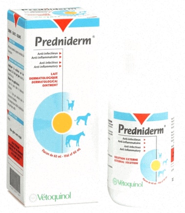 prednisolone